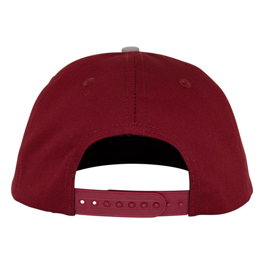 Santa Cruz Natas MFG Panther Snapback Hat - One Revolver Surfboards