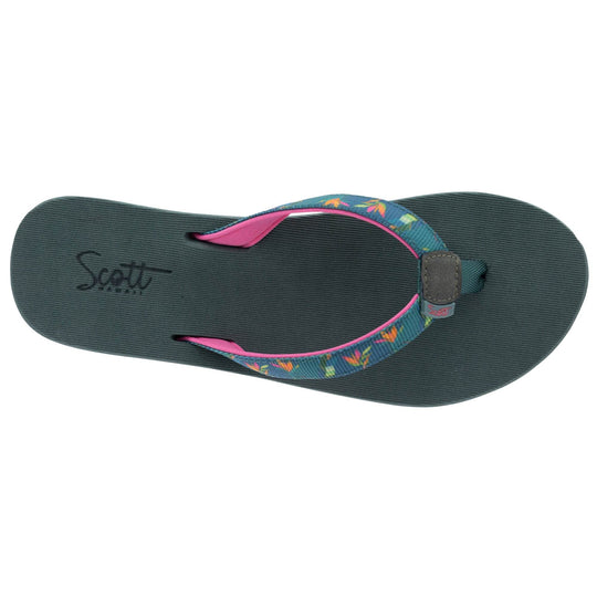 ALEALEA (No. 6105) - Shells, Seashore and More - One Revolver Surfboards