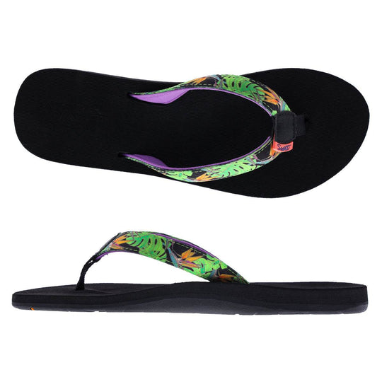 ALEALEA (No. 6105) - Shells, Seashore and More - One Revolver Surfboards