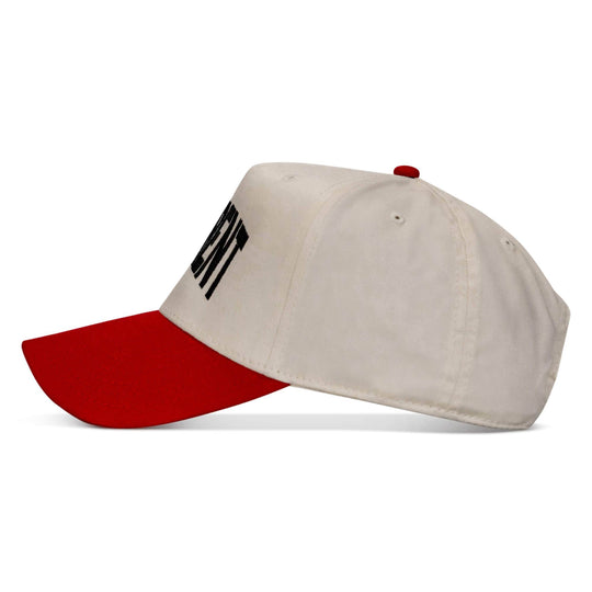 Hellbent Arched Classic Snapback Hat - One Revolver Surfboards