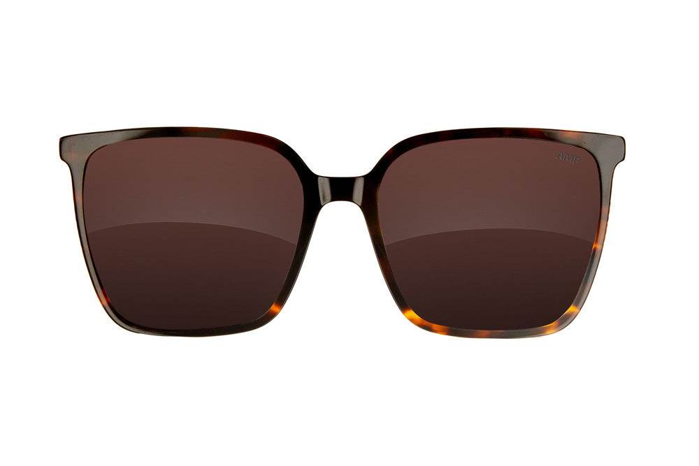 Melody | Cabana - One Revolver Surfboards