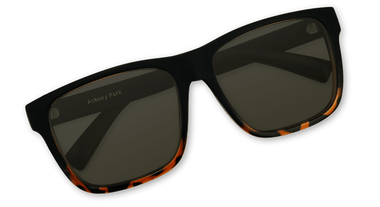 Asbury Park - One Revolver Surfboards