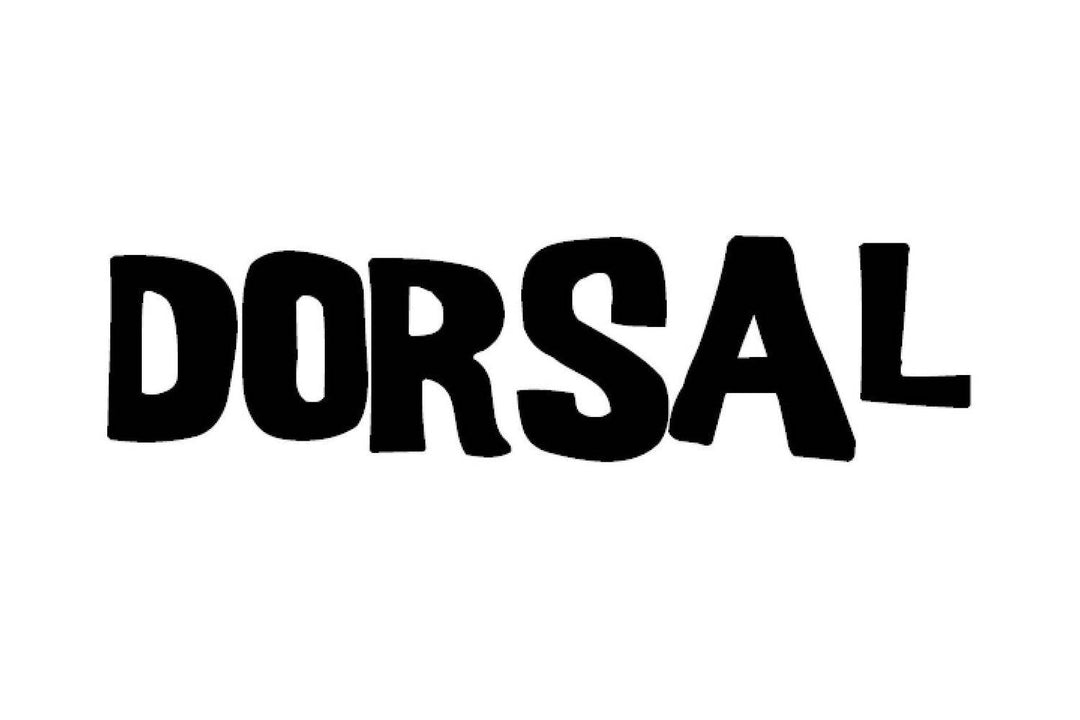DORSAL Premium Stand Up Paddle board SUP Surf Leash 10' COILED - Double Stainless Steel Swivels and Triple Rail Saver - One Revolver Surfboards