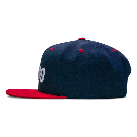 Goon Arched Flatbill Snapback Hat - One Revolver Surfboards