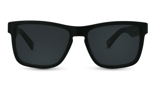 66 Line Street - One Revolver Surfboards