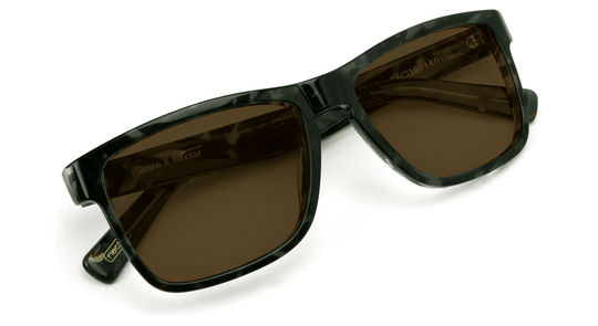 66 Line Street - One Revolver Surfboards