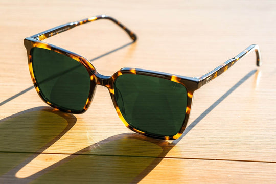 Melody | Monstera - One Revolver Surfboards