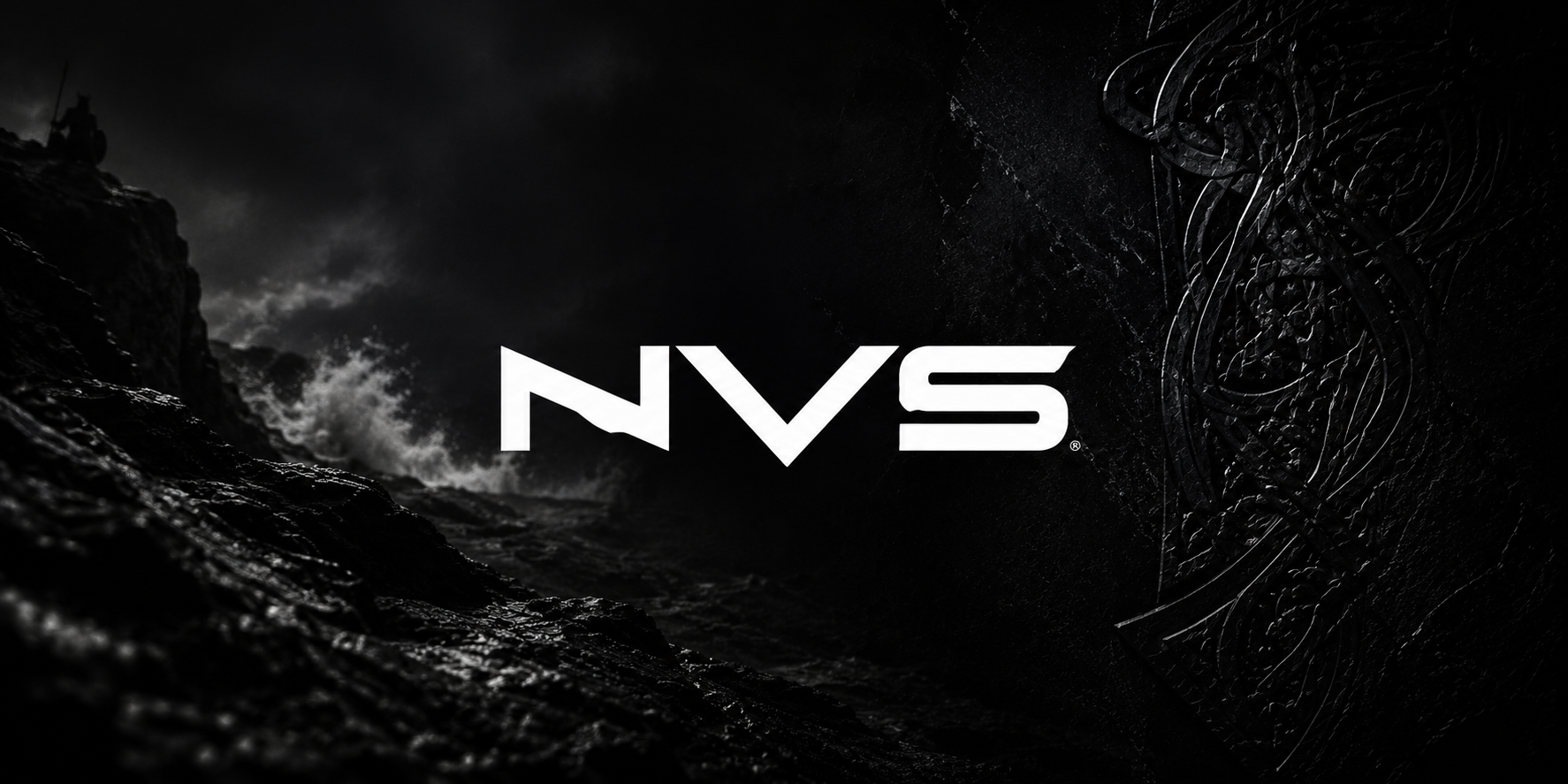 NVS Fins