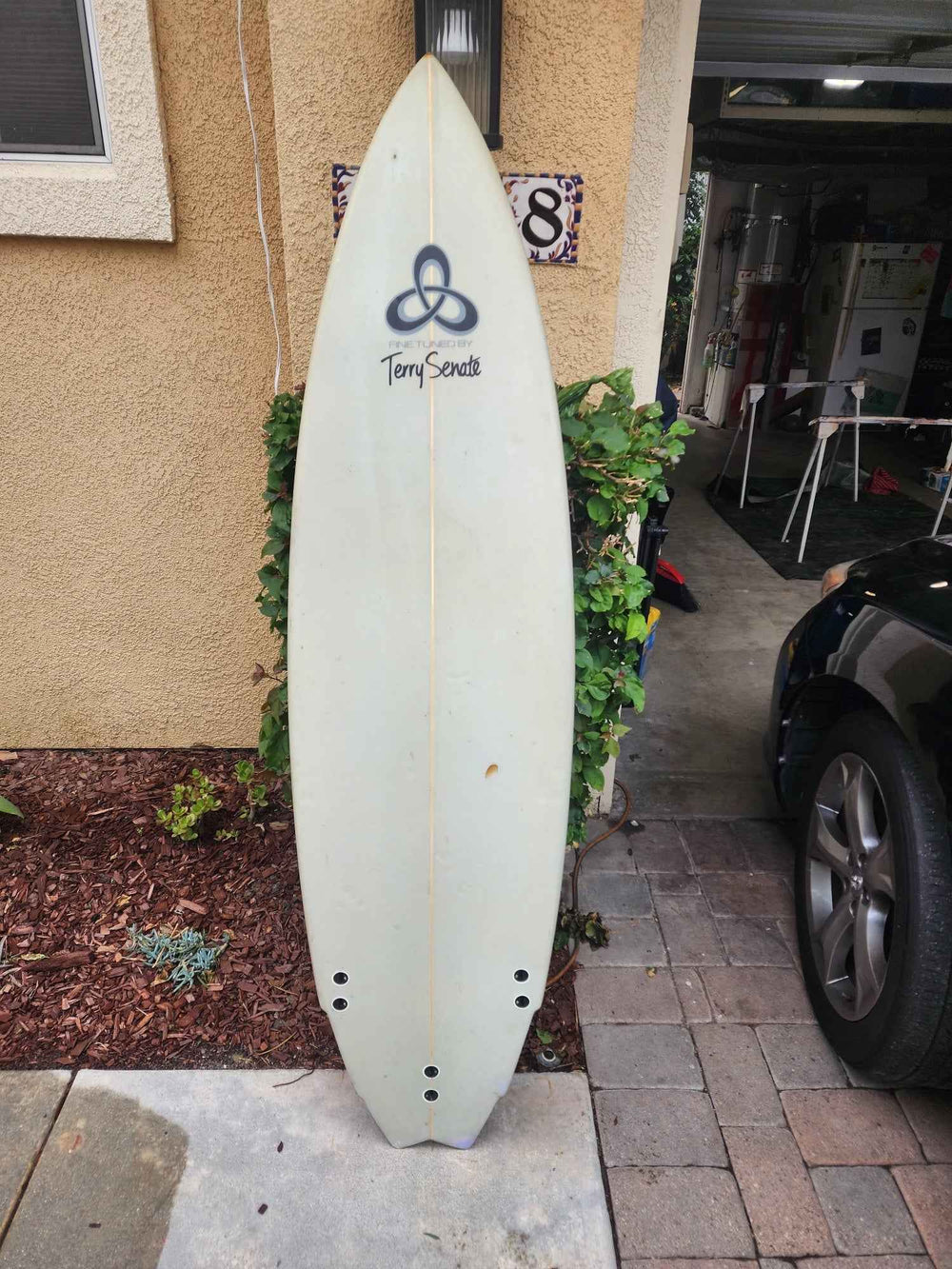 Terry Senate Surfboard 6'5