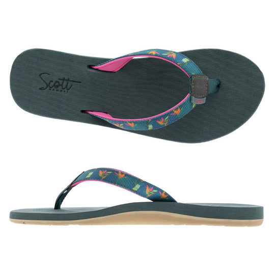 ALEALEA (No. 6105) - Shells, Seashore and More - One Revolver Surfboards