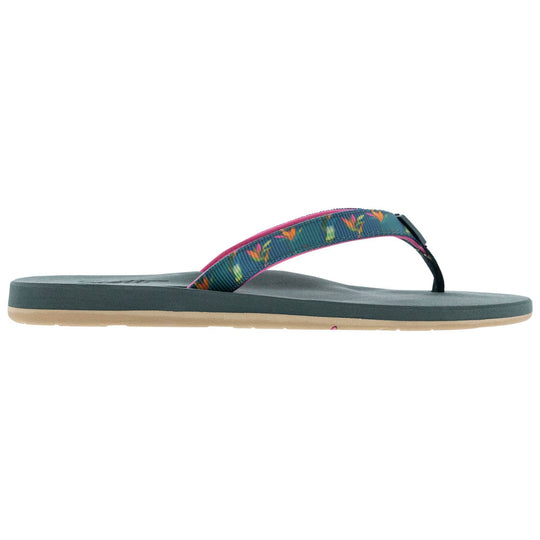 ALEALEA (No. 6105) - Shells, Seashore and More - One Revolver Surfboards