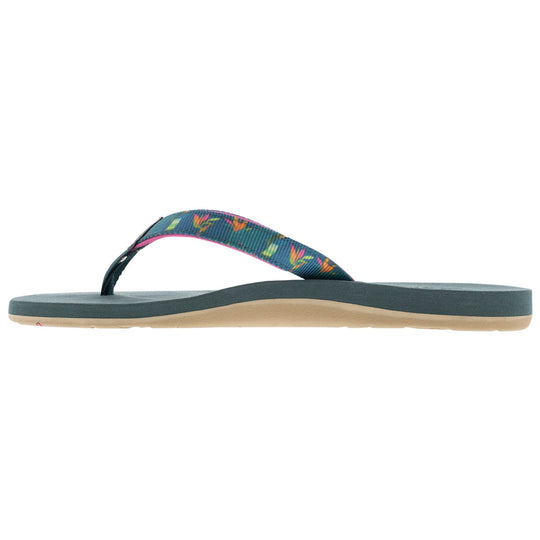 ALEALEA (No. 6105) - Shells, Seashore and More - One Revolver Surfboards