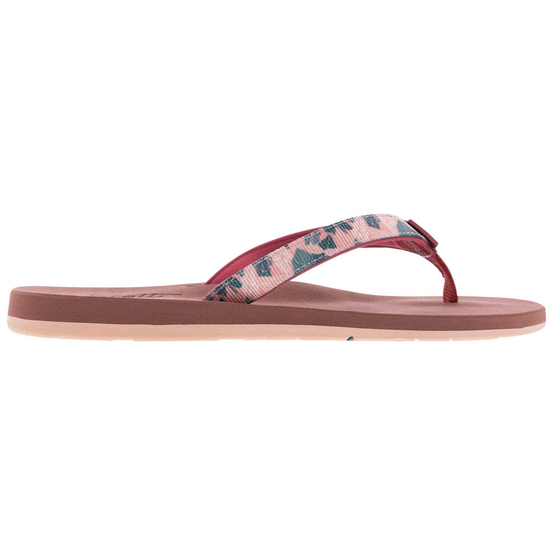 ALEALEA (No. 6105) - Shells, Seashore and More - One Revolver Surfboards