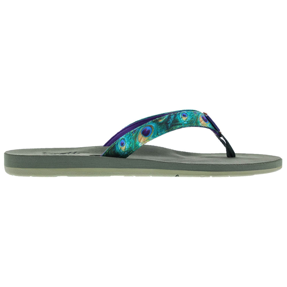ALEALEA (No. 6105) - Shells, Seashore and More - One Revolver Surfboards