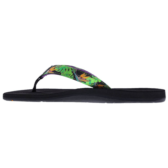 ALEALEA (No. 6105) - Shells, Seashore and More - One Revolver Surfboards