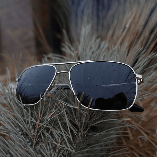 Coastal - Gold- Jet Black Polarized - One Revolver Surfboards