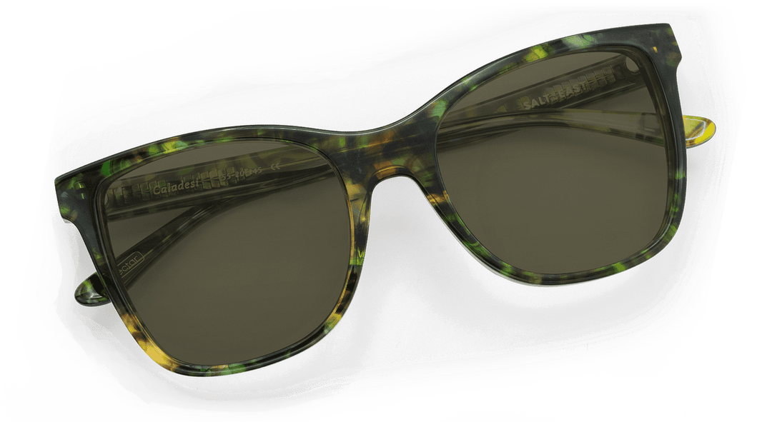 Caladesi - One Revolver Surfboards