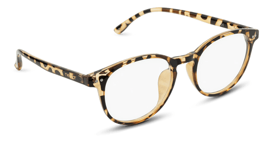 Cambridge - One Revolver Surfboards