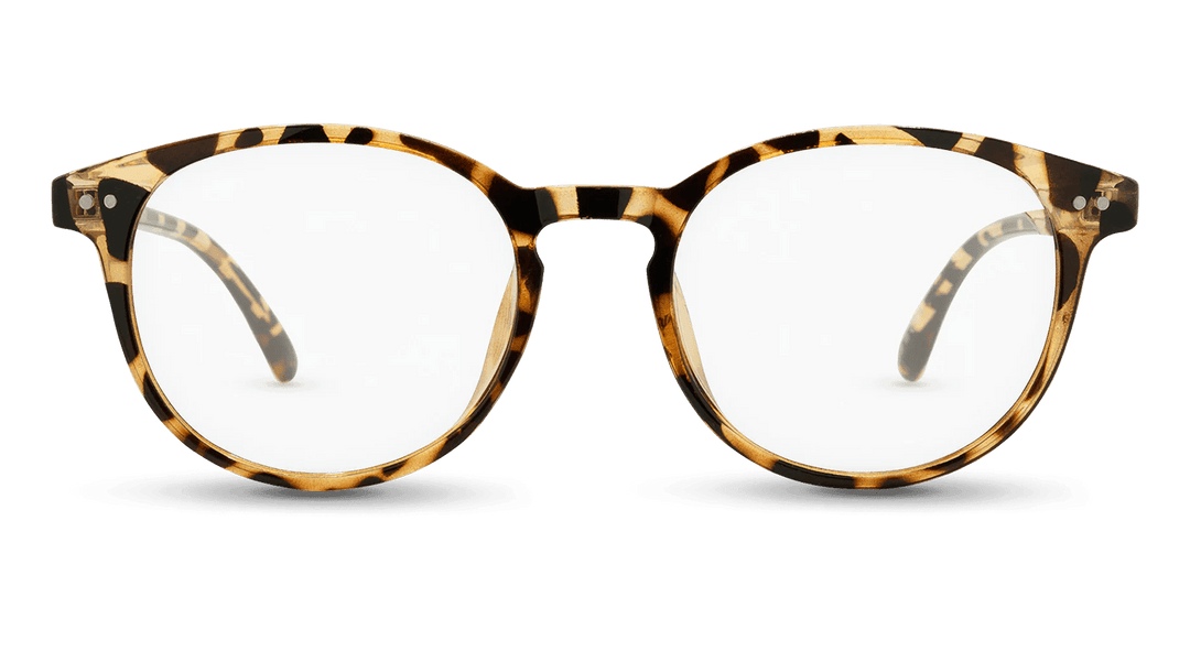 Cambridge - One Revolver Surfboards