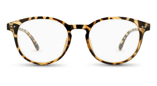 Cambridge - One Revolver Surfboards