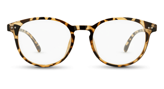 Cambridge - Blue Light Blockers - One Revolver Surfboards