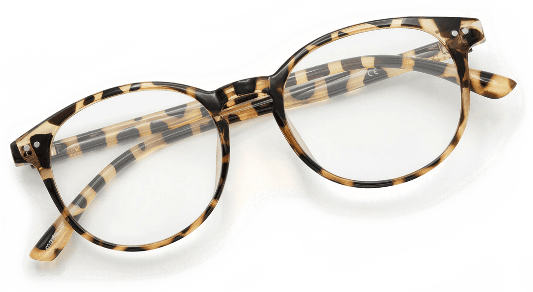 Cambridge - One Revolver Surfboards