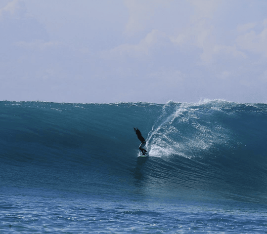 Fish 101 (Grom, S) - Apex - One Revolver Surfboards