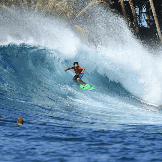 Fish 101 (Grom, S) - Apex - One Revolver Surfboards