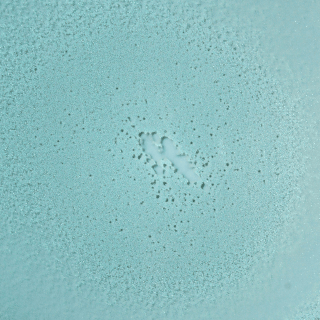SPF 30 Mineral Fragrance-Free Non-Aerosol Spray - One Revolver Surfboards