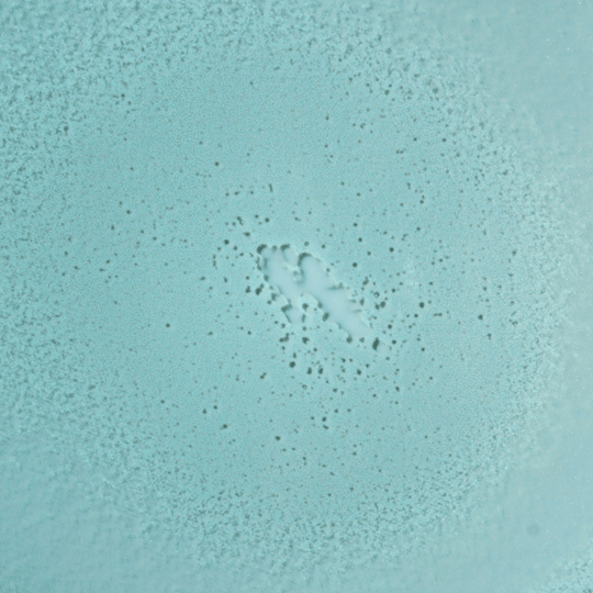 SPF 30 Mineral Fragrance-Free Non-Aerosol Spray - One Revolver Surfboards
