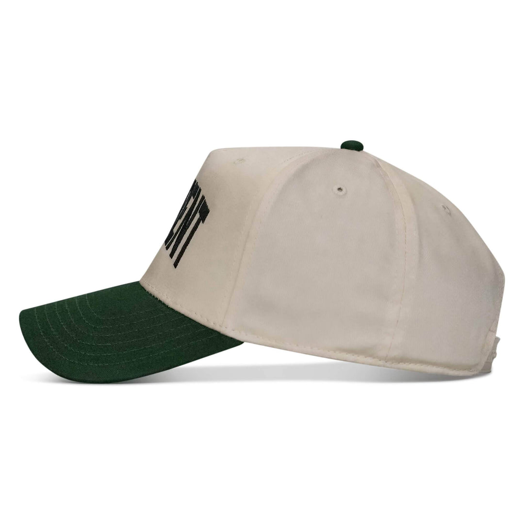Hellbent Arched Snapback Hat - HEADWEAR - One Revolver Surfboards