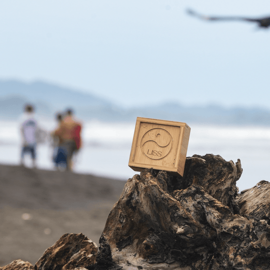 The Wax Box - One Revolver Surfboards