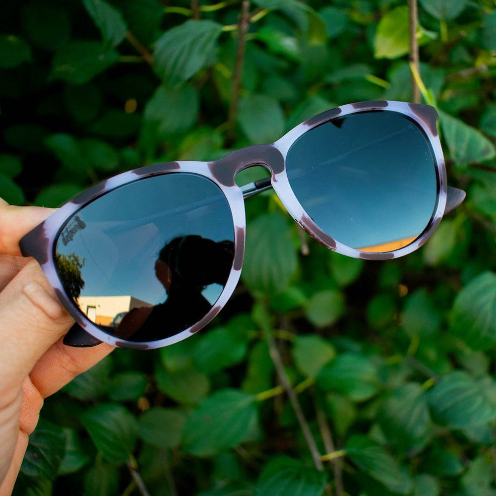 Hurricane - Ivory Tortoise Shell - Jet Black Polarized - One Revolver Surfboards