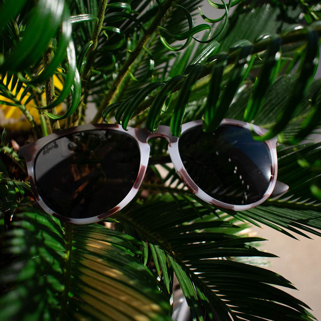 Hurricane - Ivory Tortoise Shell - Jet Black Polarized - One Revolver Surfboards