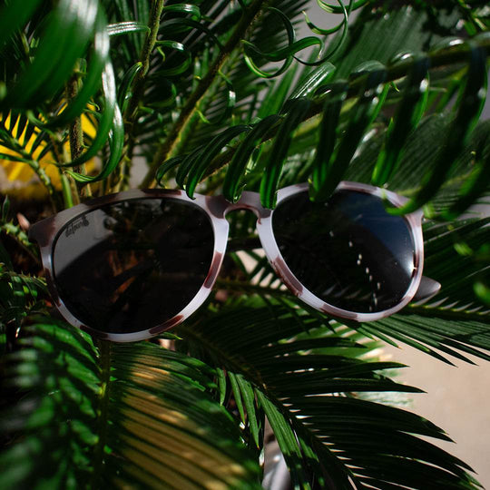 Hurricane - Ivory Tortoise Shell - Jet Black Polarized - One Revolver Surfboards