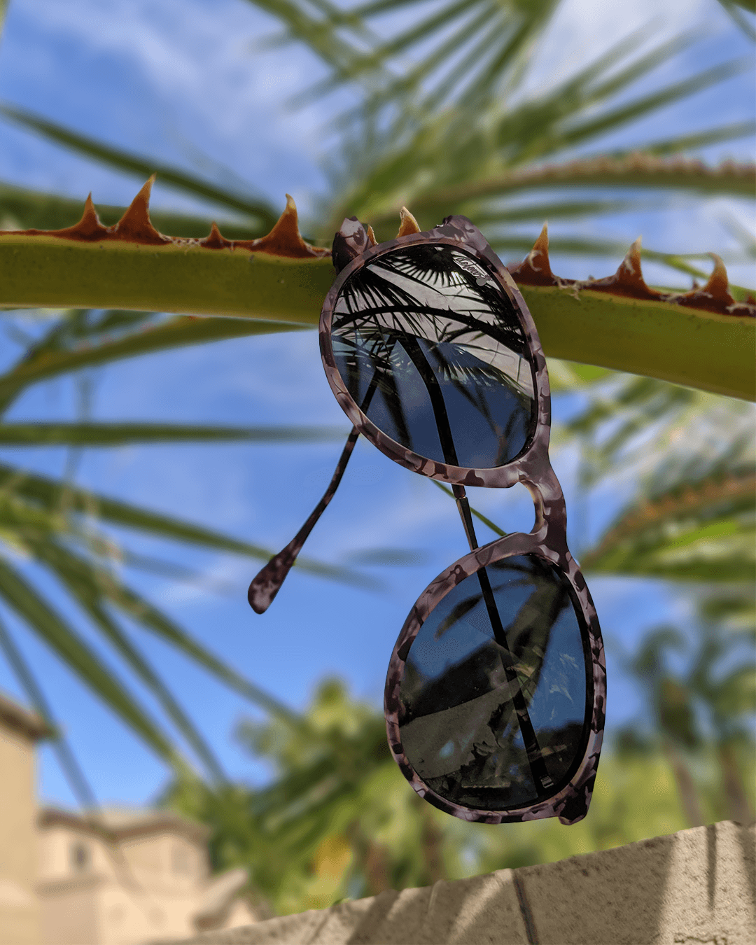 Hurricane - Pink Tortoise Shell - Rose Gold Polarized - One Revolver Surfboards
