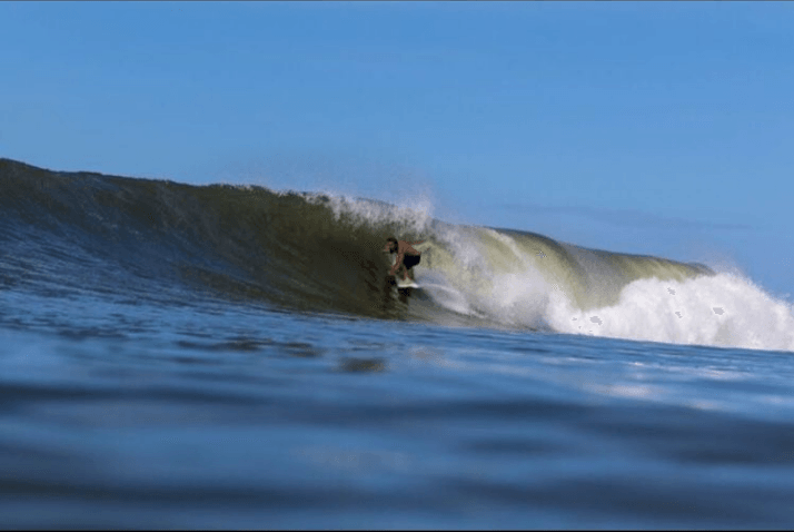 Poopies (M, L) - Apex - One Revolver Surfboards