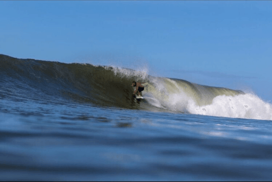 Poopies (M, L) - Apex - One Revolver Surfboards