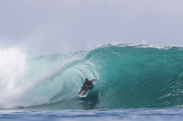 Poopies (M, L) - Apex - One Revolver Surfboards