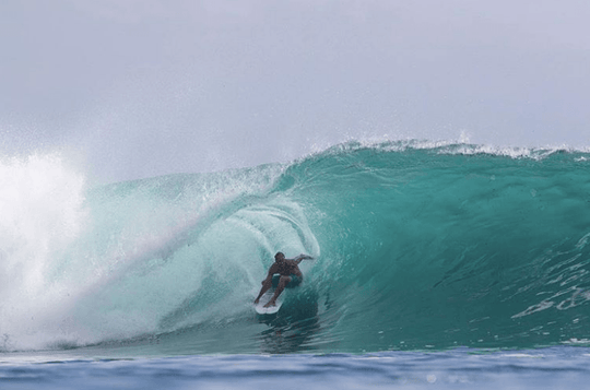 Poopies (M, L) - Apex - One Revolver Surfboards