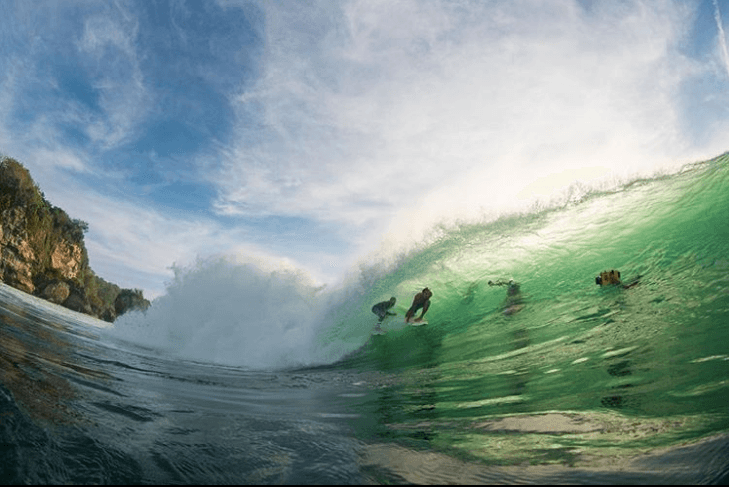 Poopies (M, L) - Apex - One Revolver Surfboards