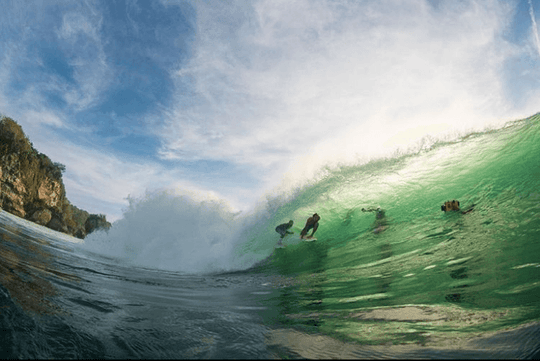 Poopies (M, L) - Apex - One Revolver Surfboards