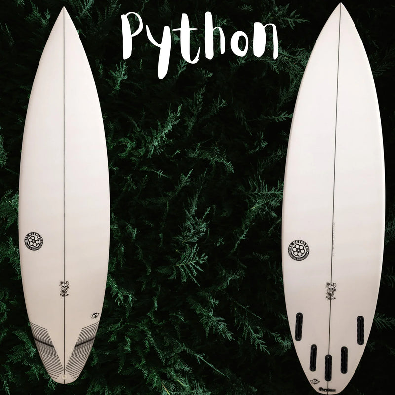 The Python