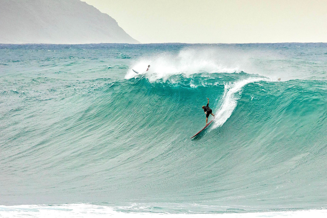 JJF 10' Big Wave Leash - Night - One Revolver Surfboards