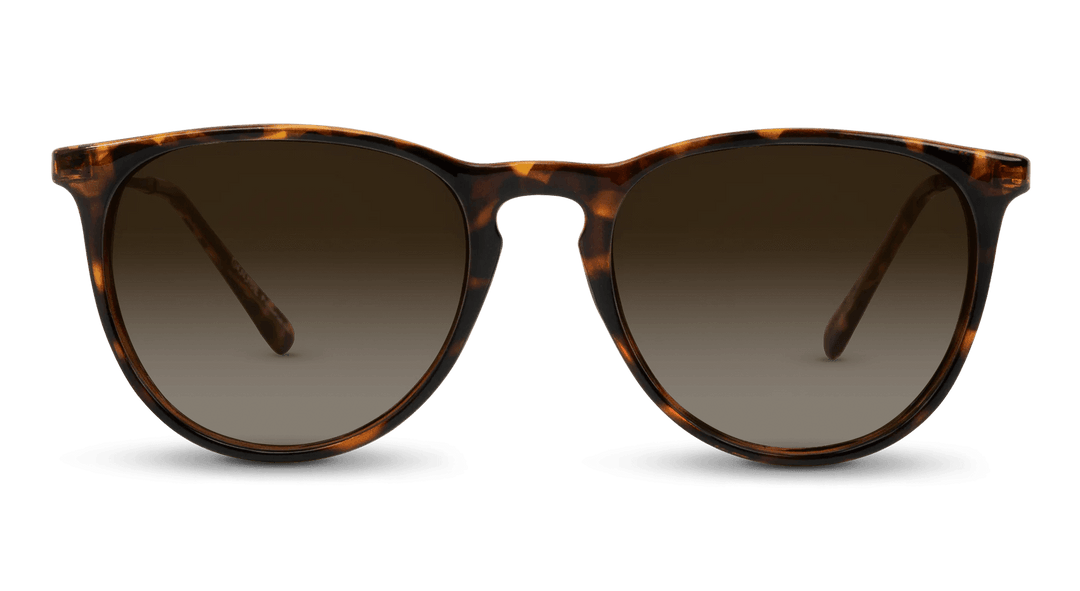 Shockoe - Classic Sunglasses - One Revolver Surfboards
