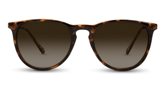 Shockoe - Classic Sunglasses - One Revolver Surfboards