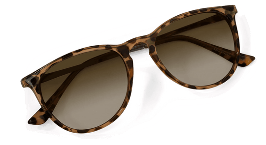 Shockoe - Classic Sunglasses - One Revolver Surfboards