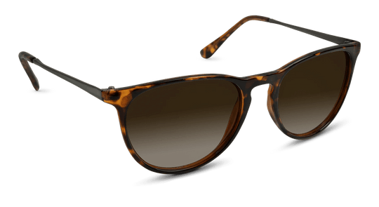 Shockoe - Classic Sunglasses - One Revolver Surfboards