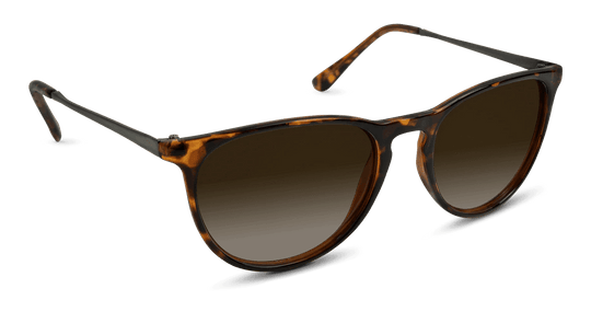 Shockoe - One Revolver Surfboards