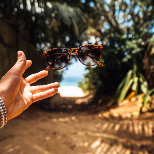 Shockoe - Classic Sunglasses - One Revolver Surfboards